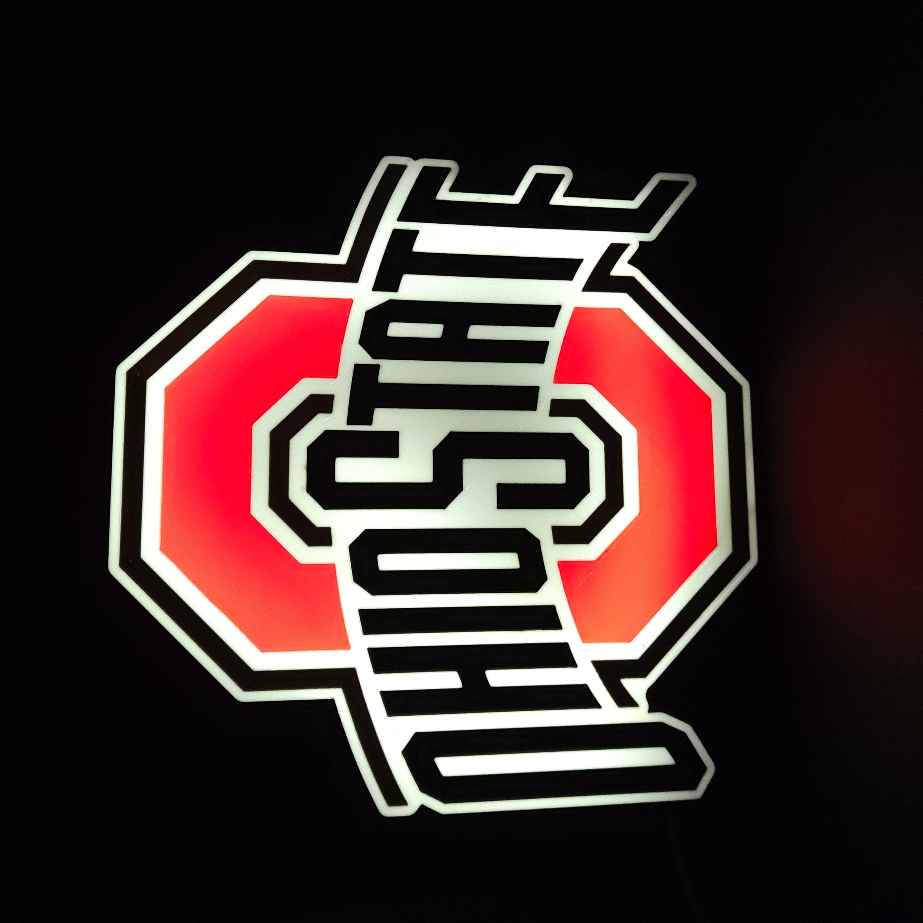 Ohio State University Light